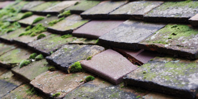 Lower Woodside roof repair costs
